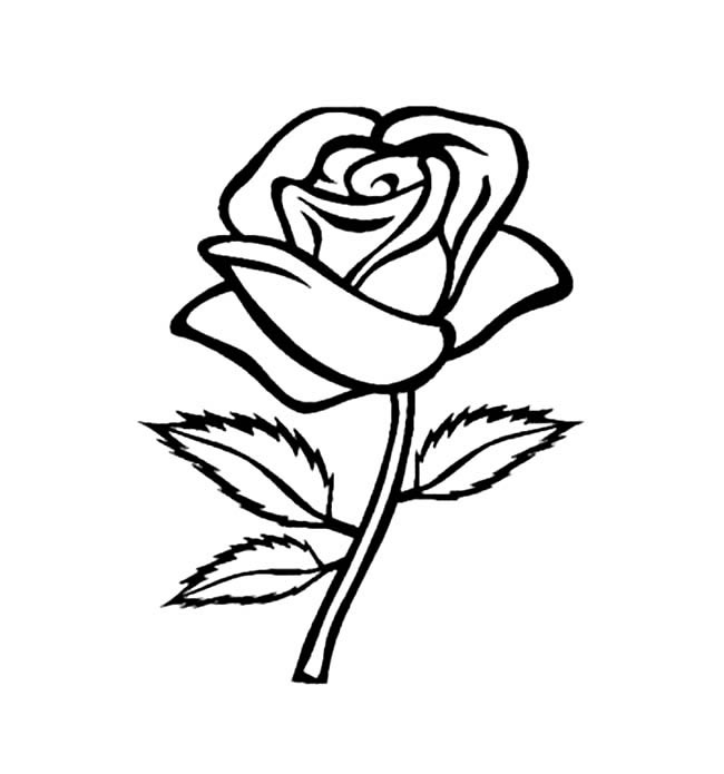 簡單的玫瑰花怎么畫
