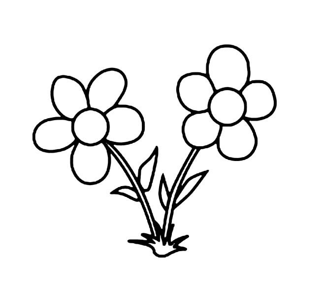 簡單的小花朵怎么畫