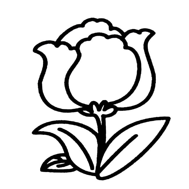 一朵小花的簡(jiǎn)筆畫(huà)