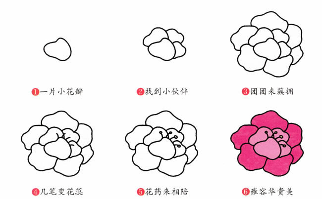 一朵牡丹花的簡筆畫