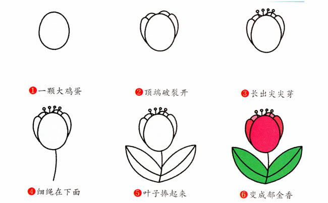 帶顏色的郁金香簡筆畫教程