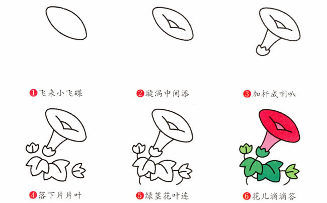帶顏色的牽牛花簡筆畫教程