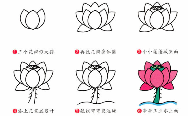 鮮艷涂色的荷花簡筆畫