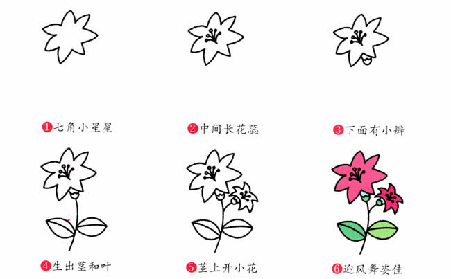 漂亮帶顏色的百合花簡筆畫
