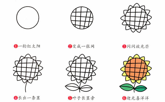 帶顏色的向日葵簡筆畫教程