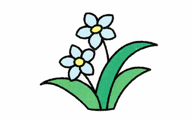 涂色的水仙花簡筆畫教程