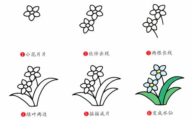 涂色的水仙花簡筆畫教程