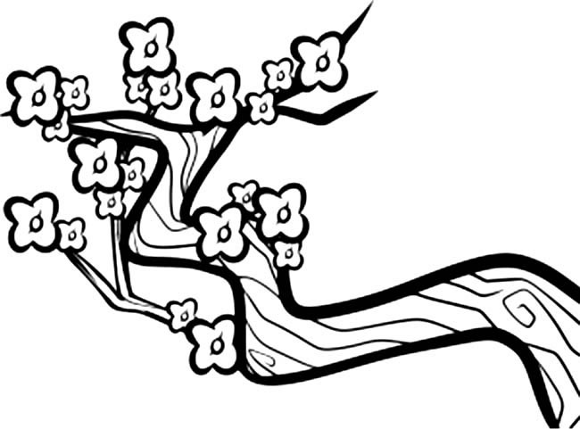關于梅花的兒童簡筆畫