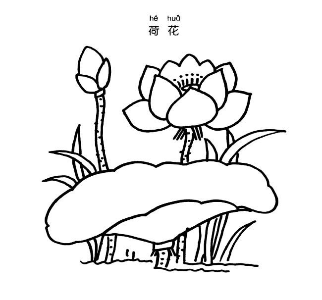 關(guān)于荷花的兒童簡筆畫