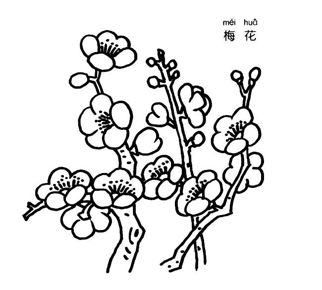 寫意的梅花簡筆畫