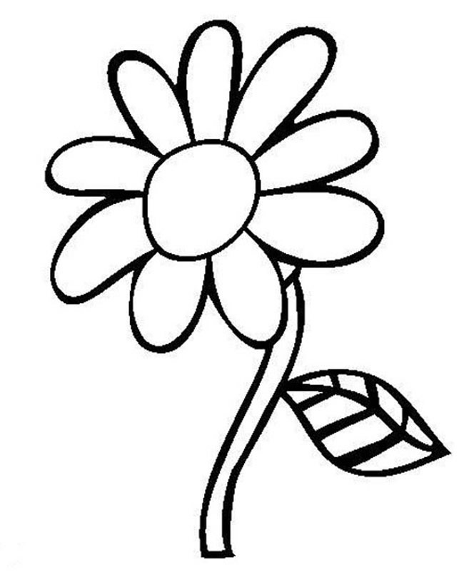 關(guān)于太陽花的簡筆畫