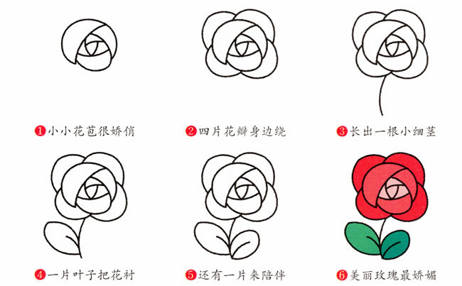 鮮艷涂色的玫瑰花簡筆畫