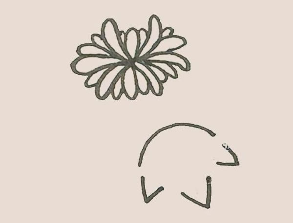 關于菊花的簡筆畫