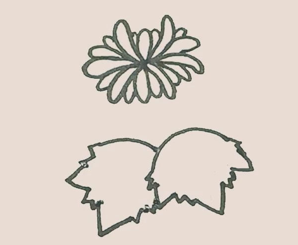 關于菊花的簡筆畫