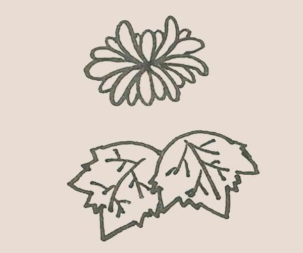 關于菊花的簡筆畫