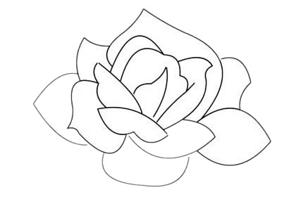 月季花簡筆畫圖片大全