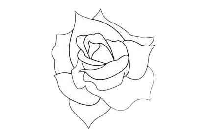 月季花簡筆畫圖片大全