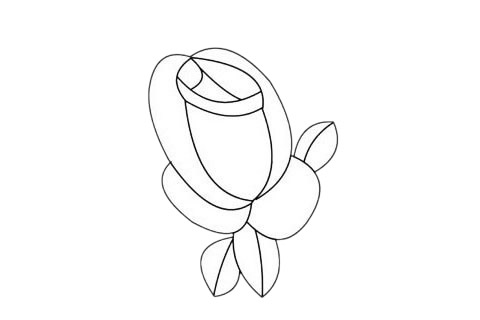 月季花簡筆畫圖片大全