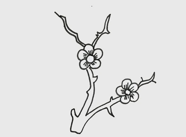 樹(shù)枝上漂亮的梅花簡(jiǎn)筆畫(huà)