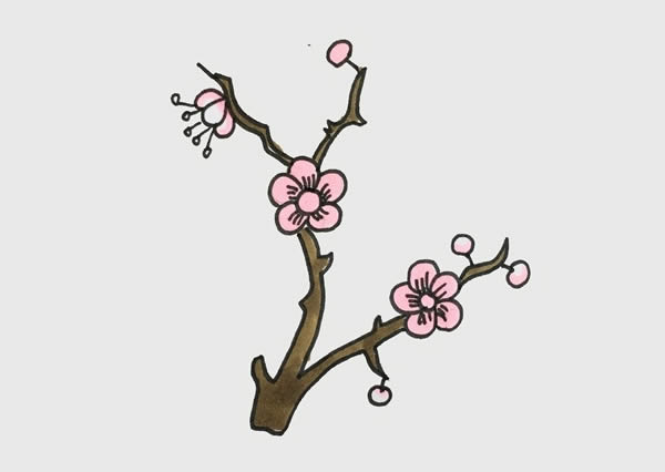 樹(shù)枝上漂亮的梅花簡(jiǎn)筆畫(huà)