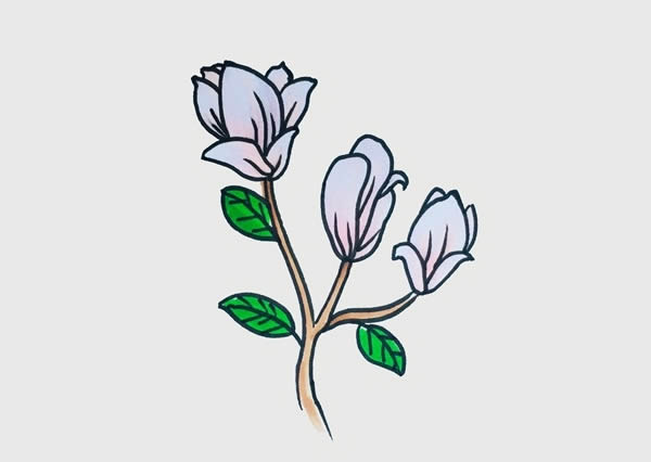 玉蘭花簡(jiǎn)筆畫步驟