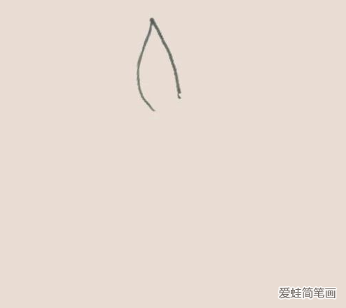 百合花簡筆畫
