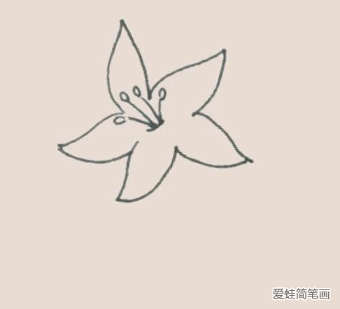 百合花簡筆畫