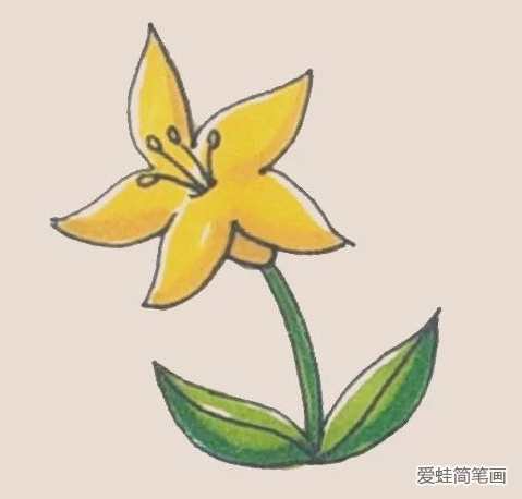 百合花簡筆畫