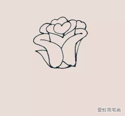 好看的玫瑰花