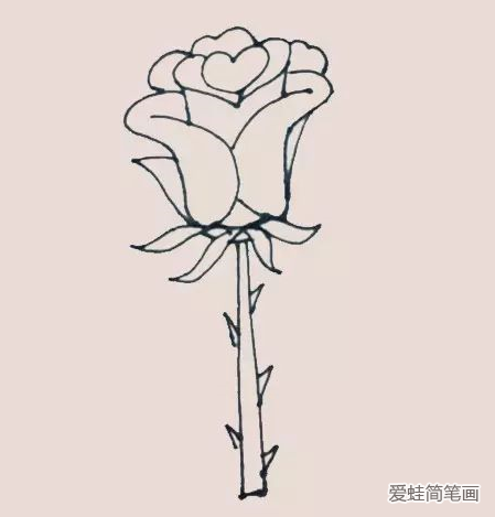 好看的玫瑰花