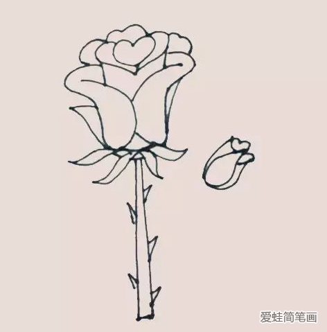 好看的玫瑰花