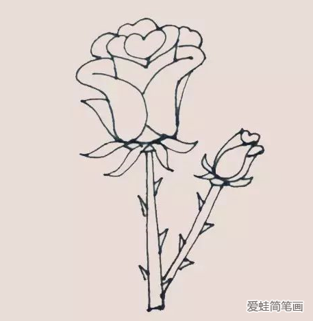 好看的玫瑰花