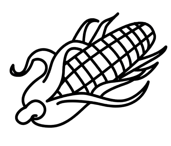 玉米怎么畫簡單又好看