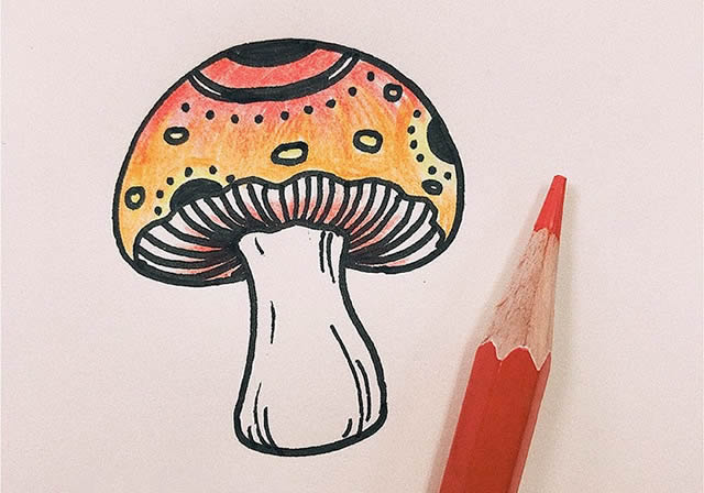 好看的彩色蘑菇簡筆畫