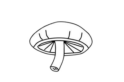 五款蘑菇兒童簡(jiǎn)筆畫(huà) 五款蘑菇兒童簡(jiǎn)筆畫(huà)