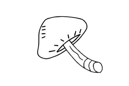 五款蘑菇兒童簡(jiǎn)筆畫(huà) 五款蘑菇兒童簡(jiǎn)筆畫(huà)