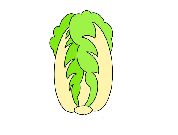 大白菜怎么畫(huà)簡(jiǎn)單又好看