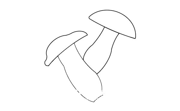 杏鮑菇簡筆畫畫法