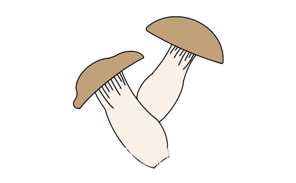 杏鮑菇簡筆畫畫法