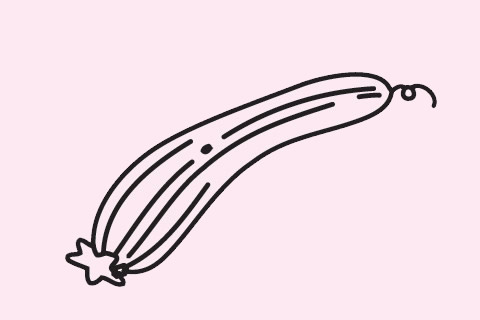 三張關于絲瓜的簡筆畫