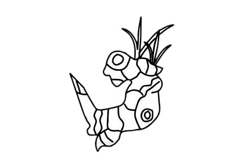 一組生姜簡(jiǎn)筆畫(huà)圖片大全