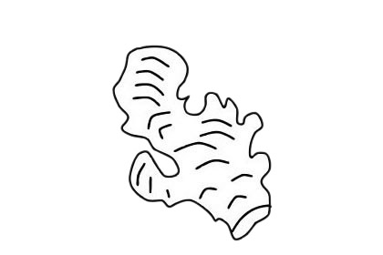 一組生姜簡(jiǎn)筆畫(huà)圖片大全