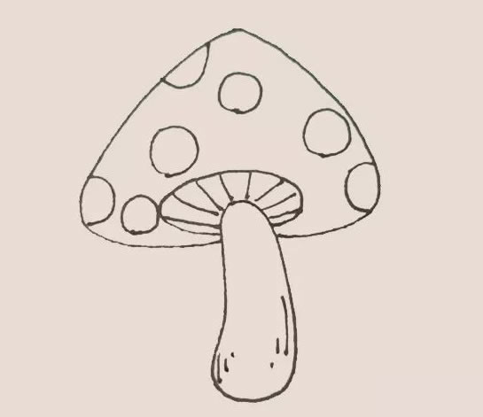 彩色漂亮的蘑菇簡筆畫