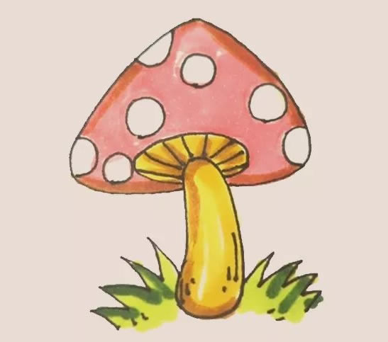 彩色漂亮的蘑菇簡筆畫