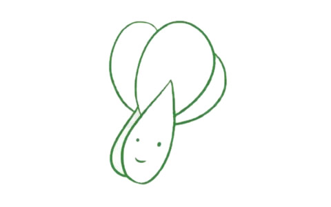 油菜怎么畫簡(jiǎn)單又好看