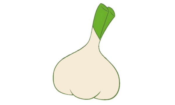 大蒜簡筆畫圖片大全