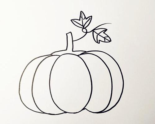 又大又紅的南瓜簡筆畫