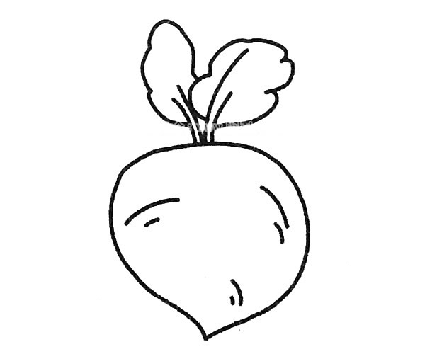 四款蘿卜兒童簡(jiǎn)筆畫(huà)