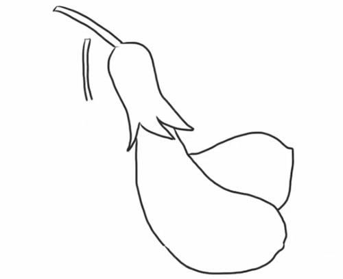 茄子簡(jiǎn)筆畫步驟教程