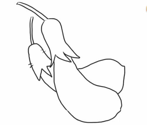 茄子簡(jiǎn)筆畫步驟教程